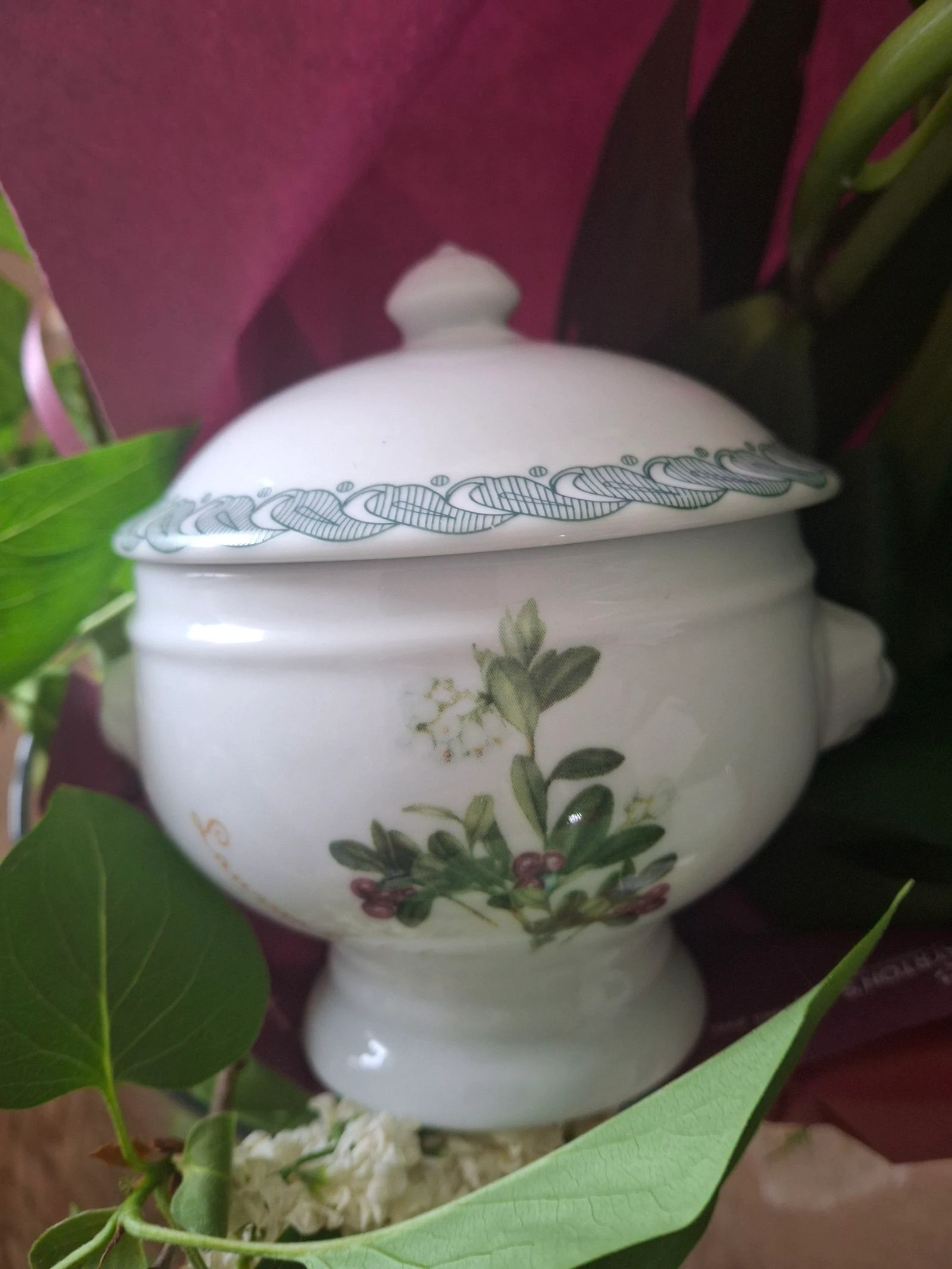 Stunning Miniature Soup Bowl Italian Porcelain Spice Pot Botanical Pattern – photo 4